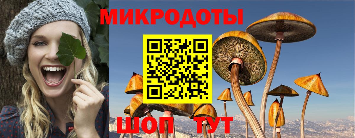 Галлюциногенные грибы ЛСД Артёмовский